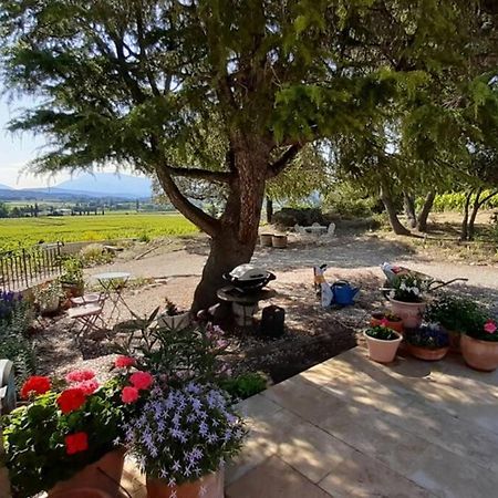 Le Clos Des Pins, Vue Mont Ventoux Roaix ภายนอก รูปภาพ