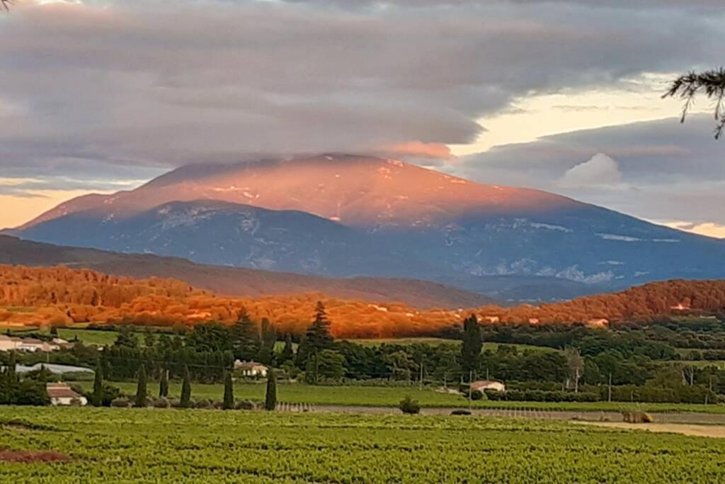 Le Clos Des Pins, Vue Mont Ventoux Roaix ภายนอก รูปภาพ